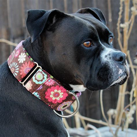 thick wide dog collars